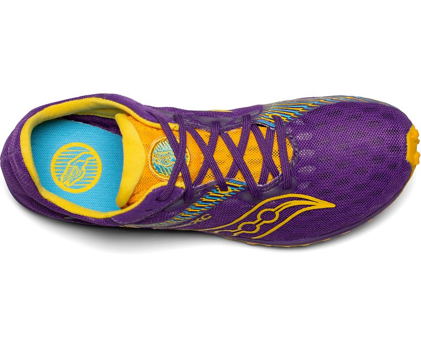 Saucony Kilkenny Xc9 Spike Women's Running Shoes Purple / Gold | Canada 163UZGT